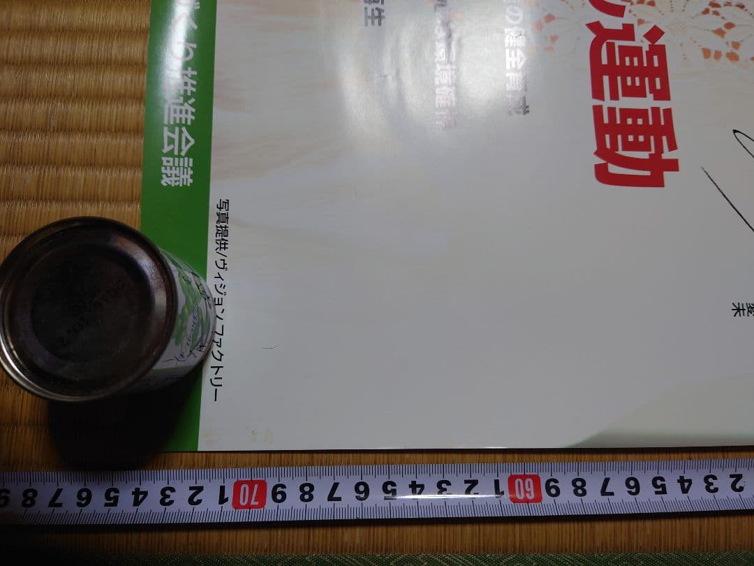 比嘉愛未 ちゅらさん運動 ポスター ☆非売品☆沖縄県教育委員会沖縄県