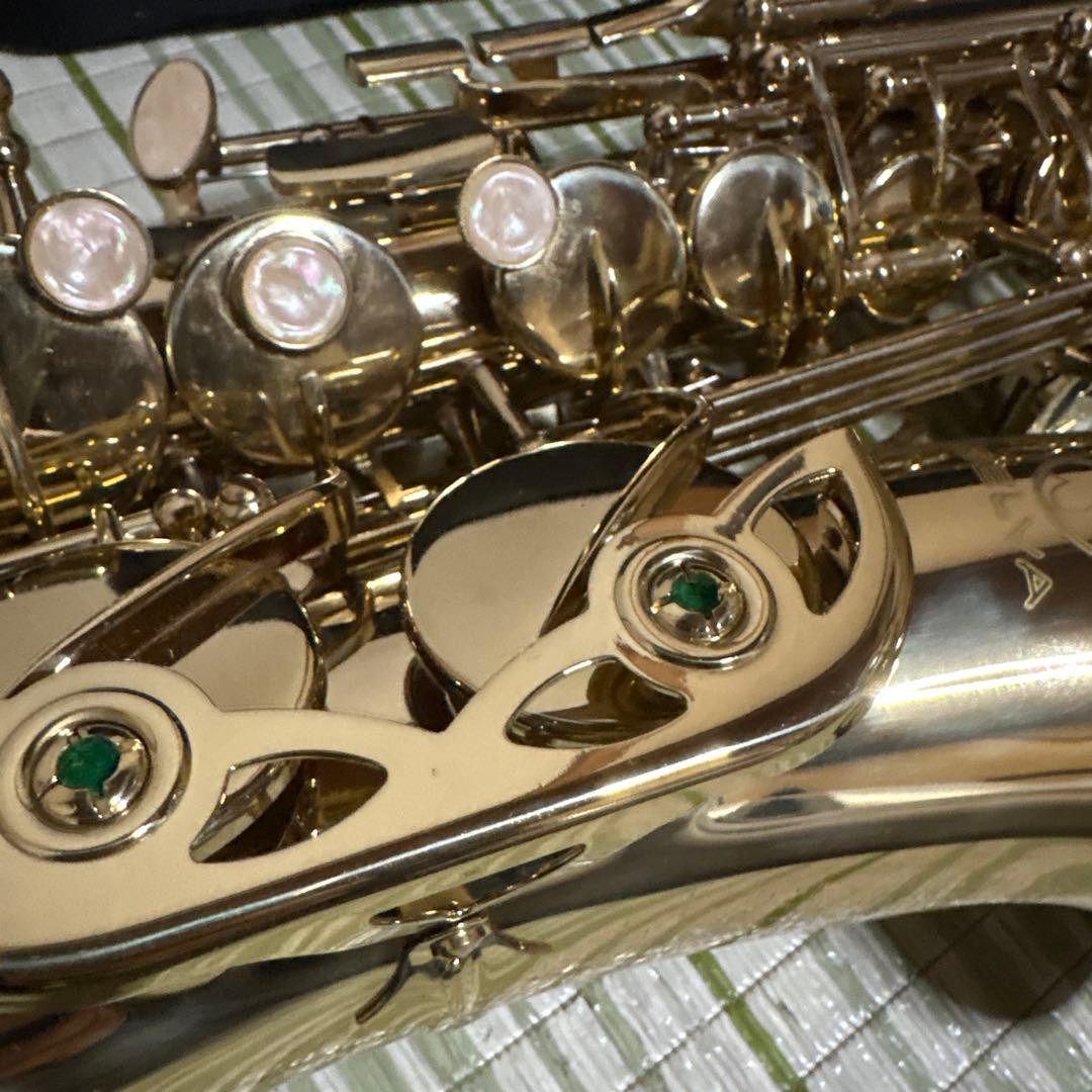 SELVA セルバ アルトサックス SAS-100 ケース付き 管楽器 音楽