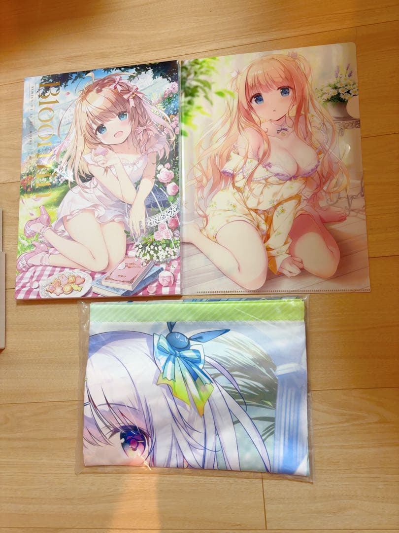 Bloomin' きみしま青画集 箔押しケース+ラフ画集+限定B2タペ+ファイル