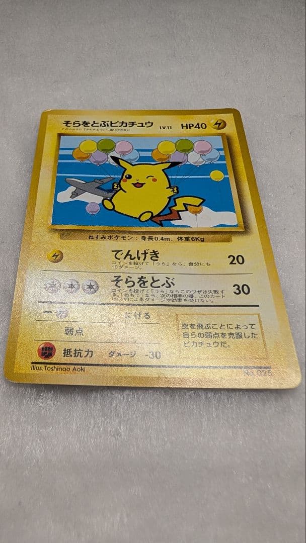 そらをとぶピカチュウ_ANA 「みんなにうれしいキャンペーン