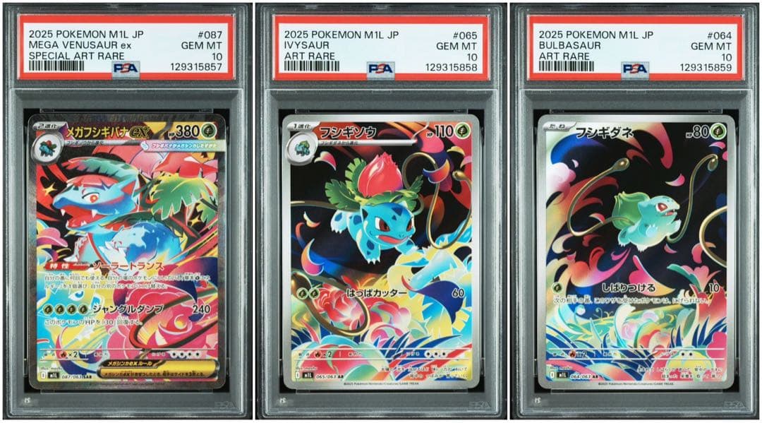 ポケモンカード フシギダネ フシギソウ フシギバナ sar 3連番 psa10