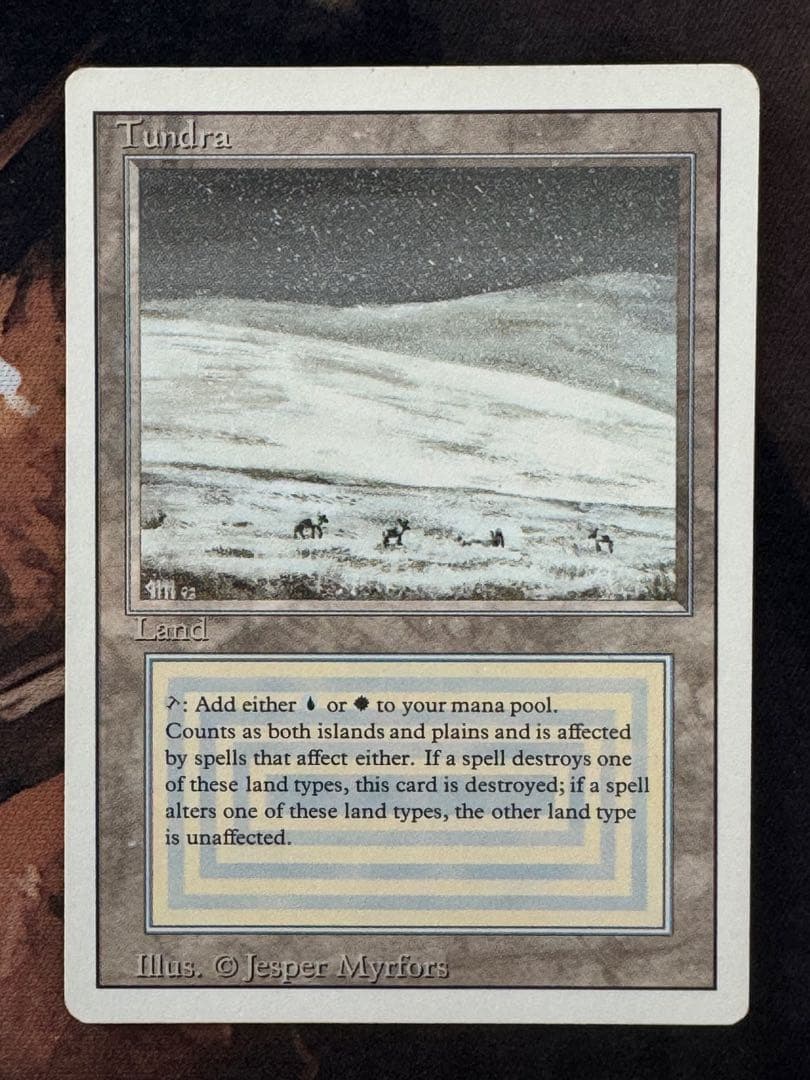 マジック：ザ・ギャザリング Tundra 3ED Revised Tundra》[3ED] SP - MTG専門店 Initiative