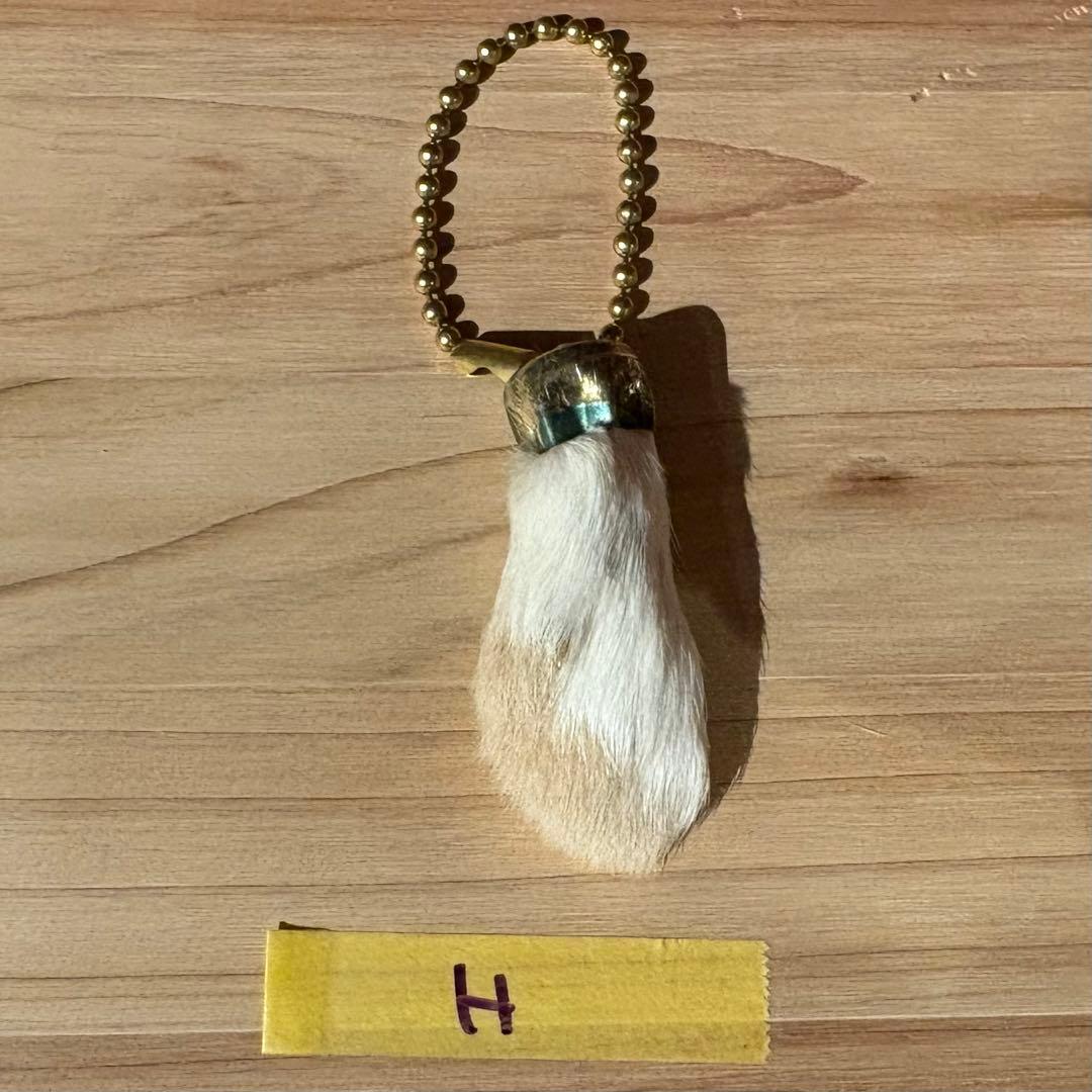 ヴィンテージ ラビットフット キーチェーン　ラッキーチャーム　USA製 H