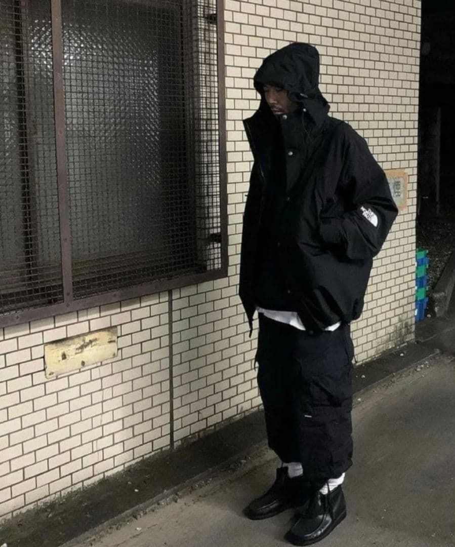 THE NORTH FACE 1994 レトロマウンテンライトジャケット