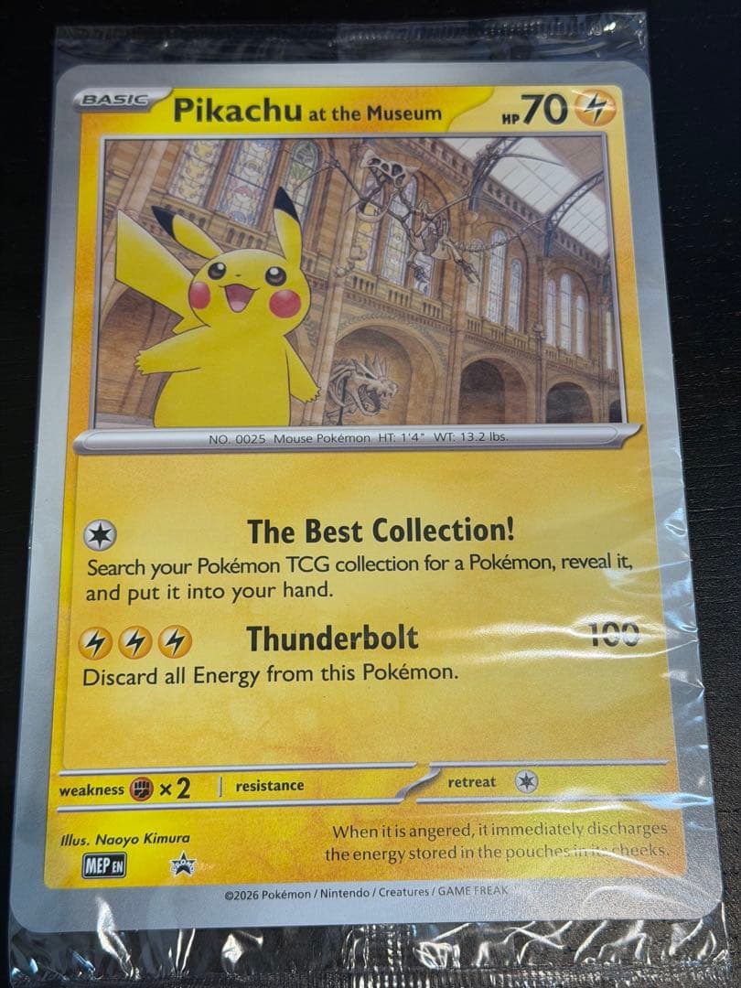 ピカチュウ×自然史博物館コラボプロモPikachu at the Museum