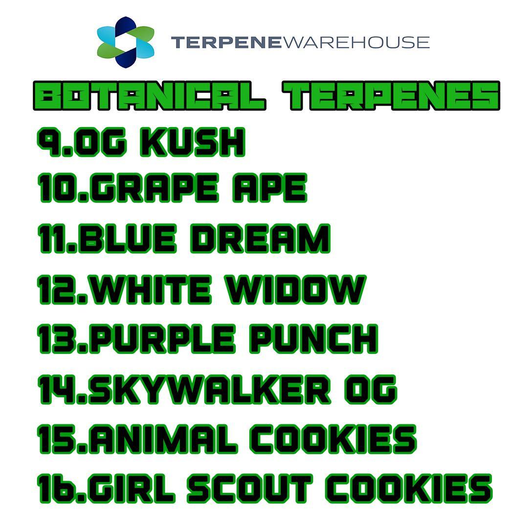 NEW Angel liquid 0.5ml CRDP CRDB CBG CRD - メルカリ