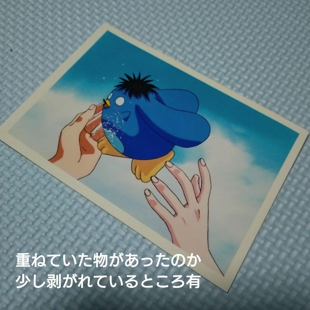 希少】幽遊白書 VHS購入特典 ED生写真 20枚+6枚【レア】 - メルカリ