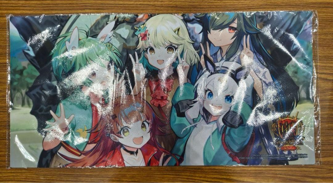 DM GP 2025 パーフェクトアース　ドラゴン娘　プレイマット