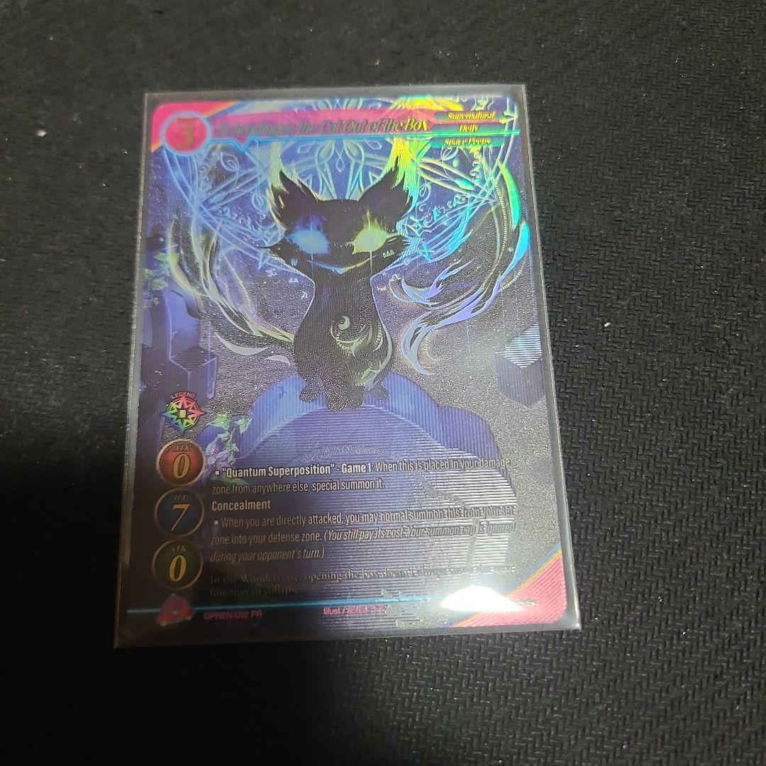 ゲートルーラーSchrödinger, theCat Out of theBox