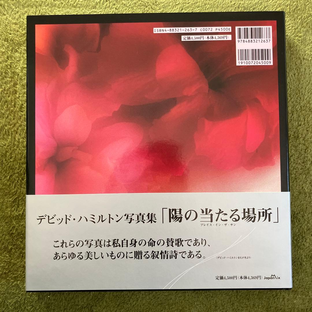 デビッド・ハミルトン 写真集 『陽の当たる場所』帯付き