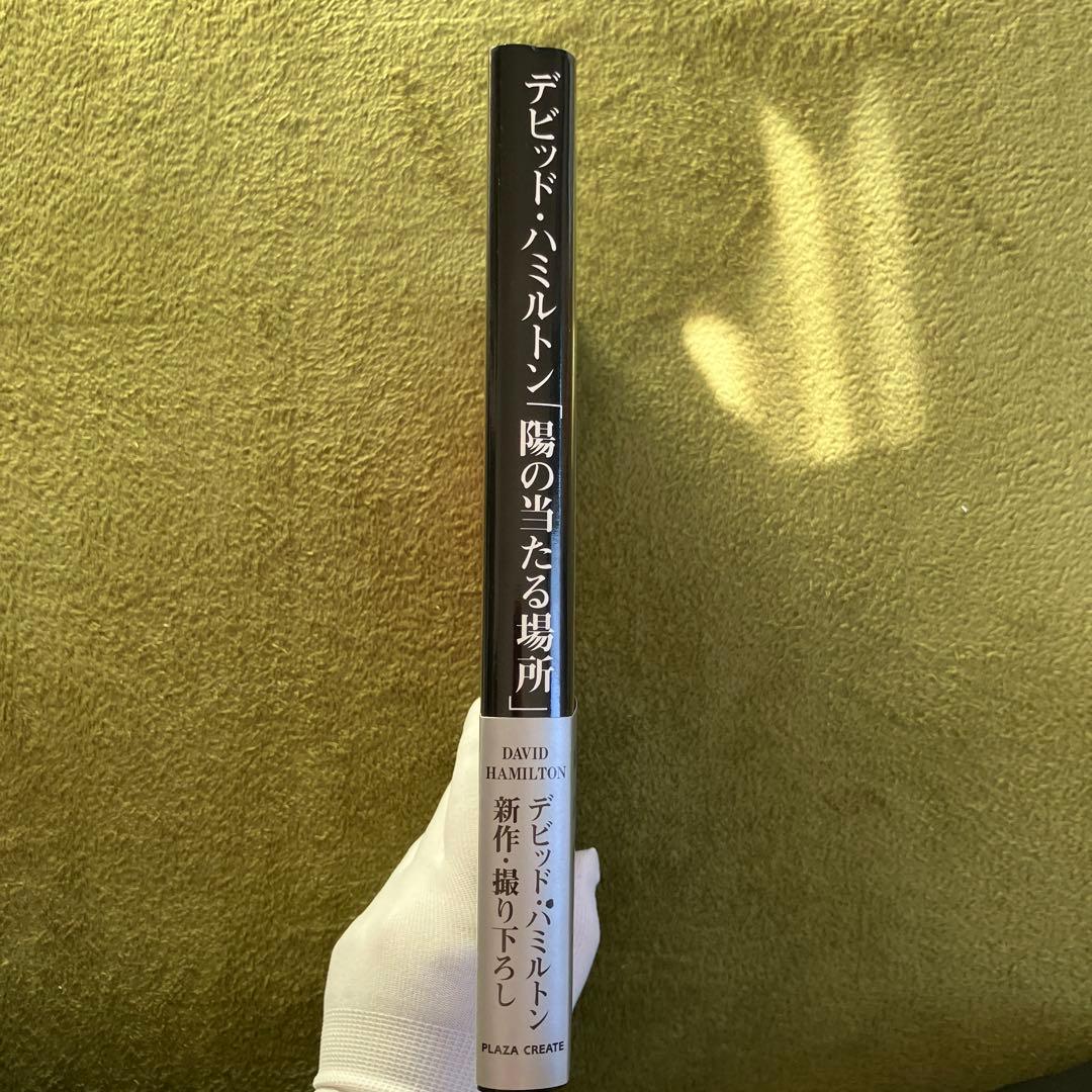 デビッド・ハミルトン 写真集 『陽の当たる場所』帯付き
