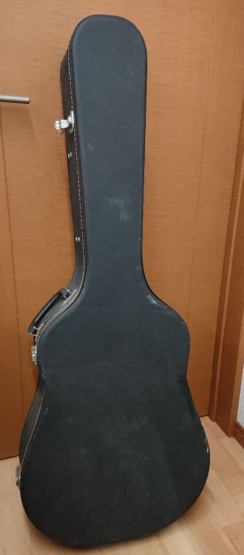 特価セット H1 アコースティックギター Chaki W-50 ピック多数 ハード