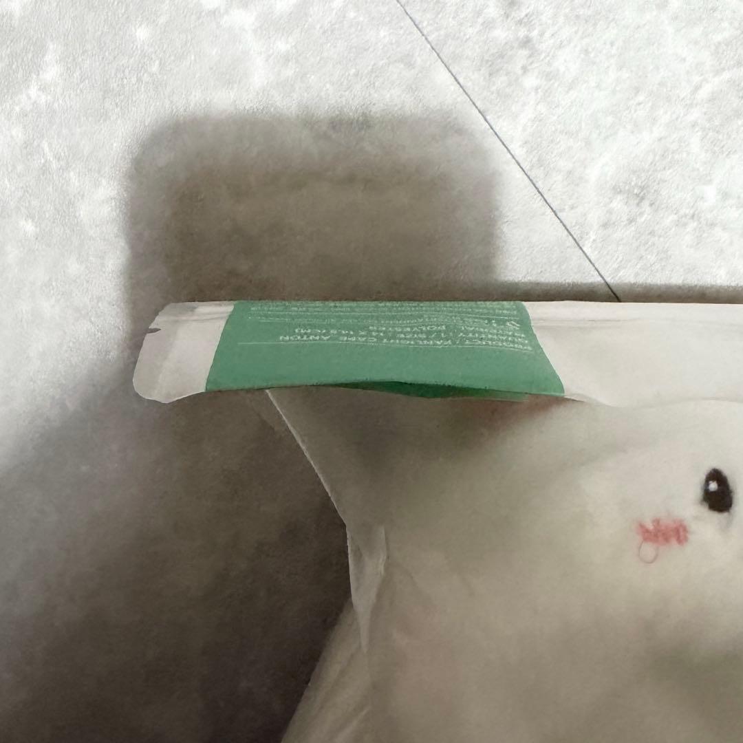 RIIZE アントン モンリョンイ ペンライトカバー オンライン