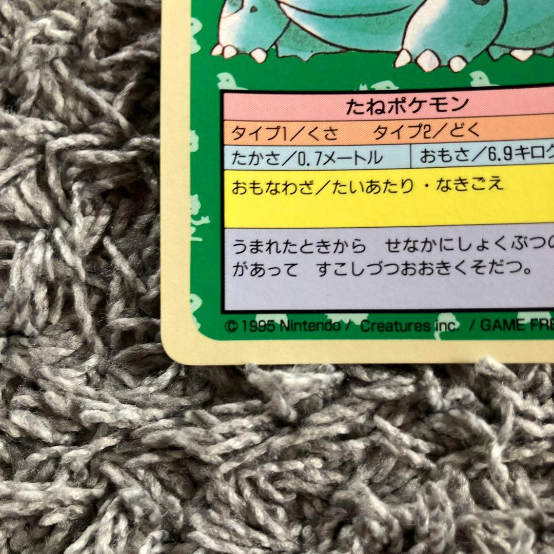 ポケモンカード トップサン フシギダネ 裏青 ナンバーなし エラー 2枚