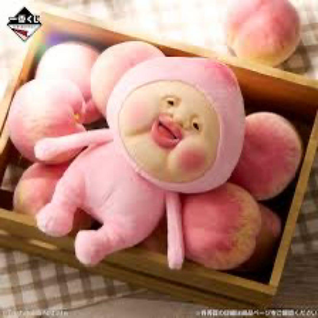 【未開封】一番くじこびとづかん　A賞カクレモモジリ