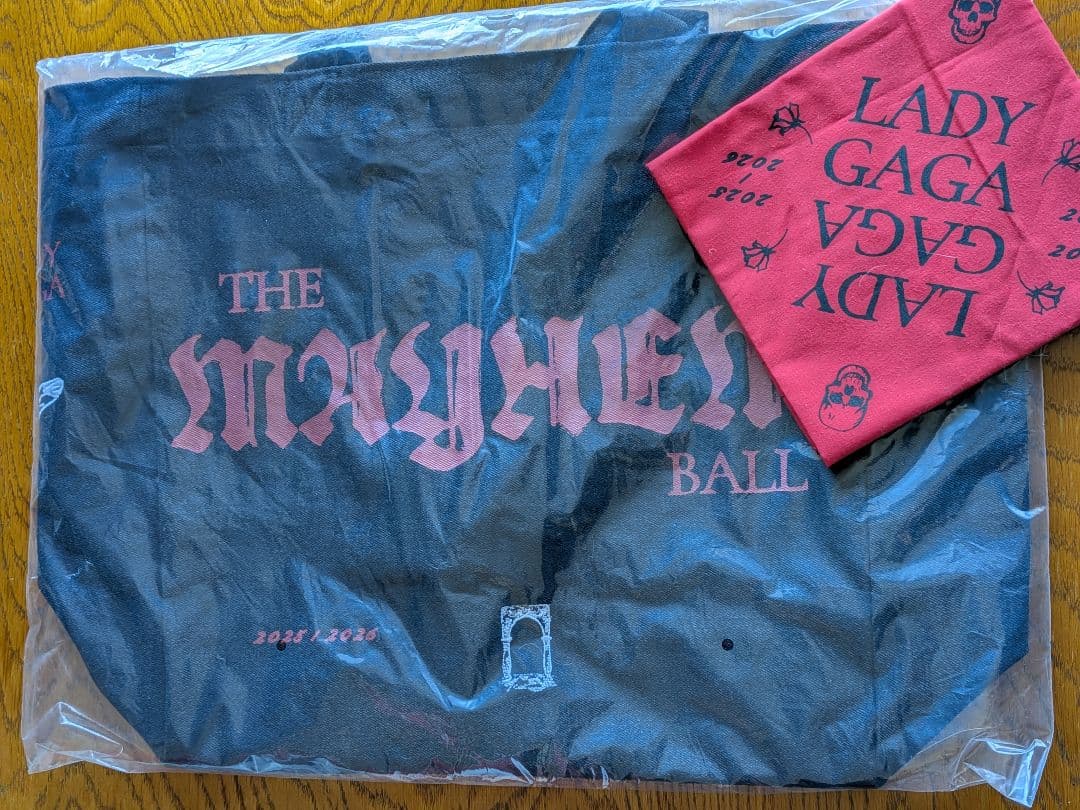 レディガガ OPERA HAUSTOTE　バンダナ　トートバッグ