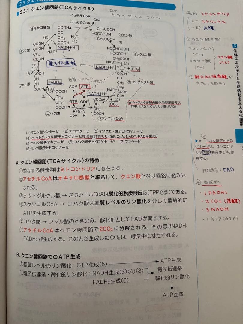 コアカリ重点ポイント集 Vol.1-3 改訂第9版 セット売り - メルカリ