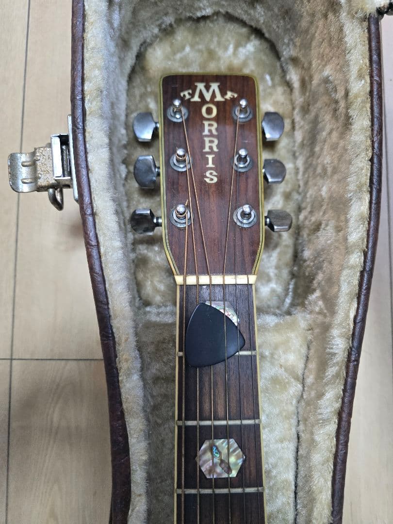 Morris TF W-80　 製造年不明 W-80 | 生産完了品 | MORRIS GUITARS モーリスギター
