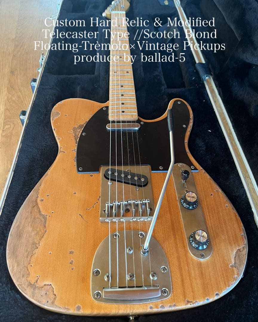 ハードレリックテレキャスタータイプ/フローティングトレモロ×アルニコ