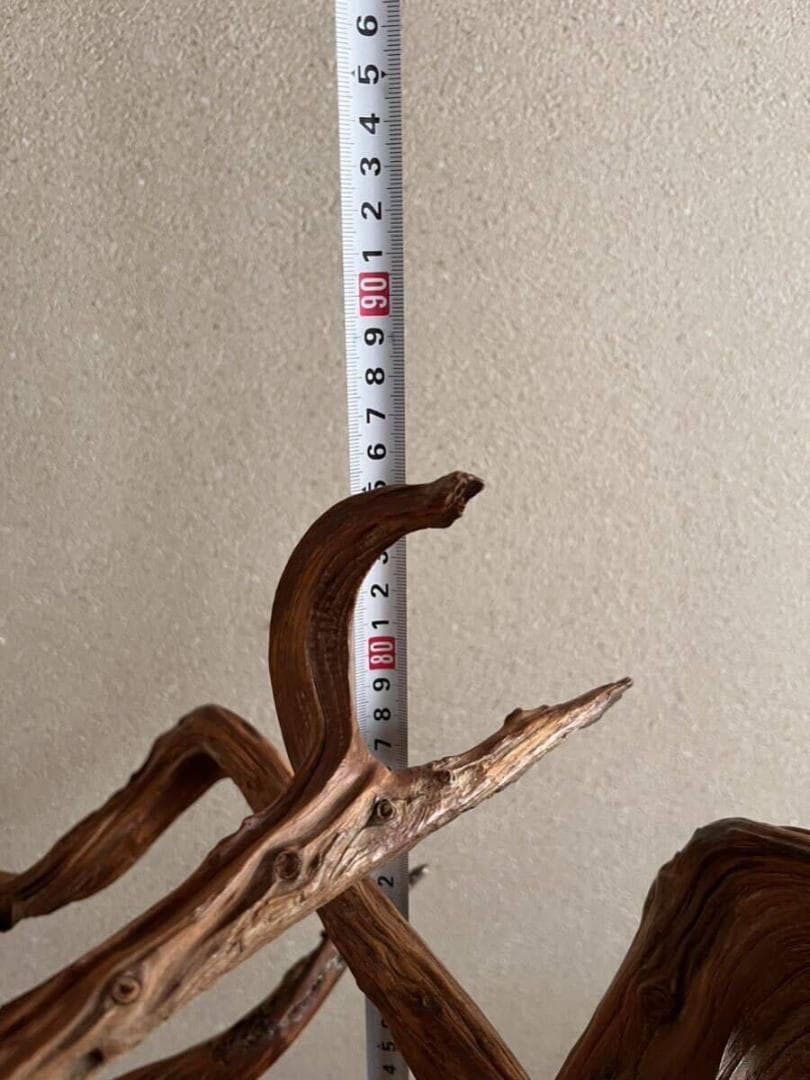 入手困難！超貴重な知床真柏を手作業で磨いたオブジェ