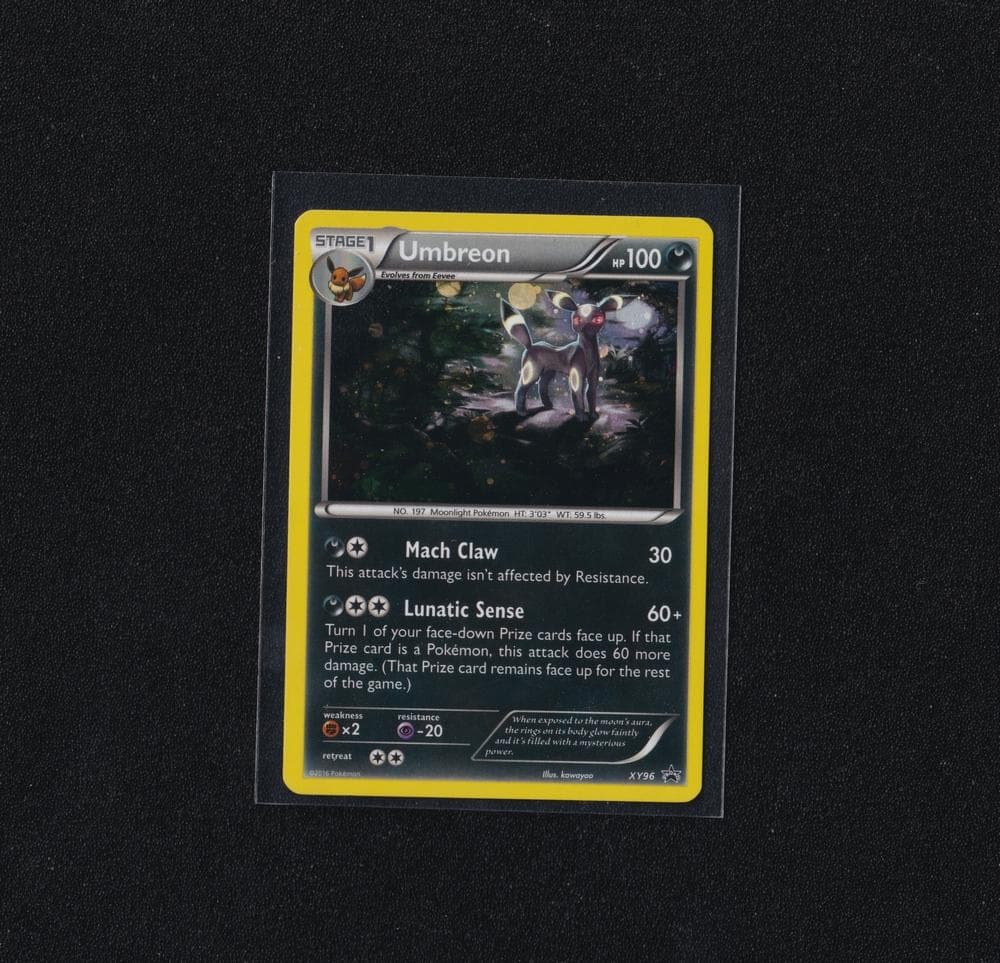 英版ブラッキー XY★プロモ PSA8以下】ブラッキー P [XY96]【英語版】(XY「プロモーションカード