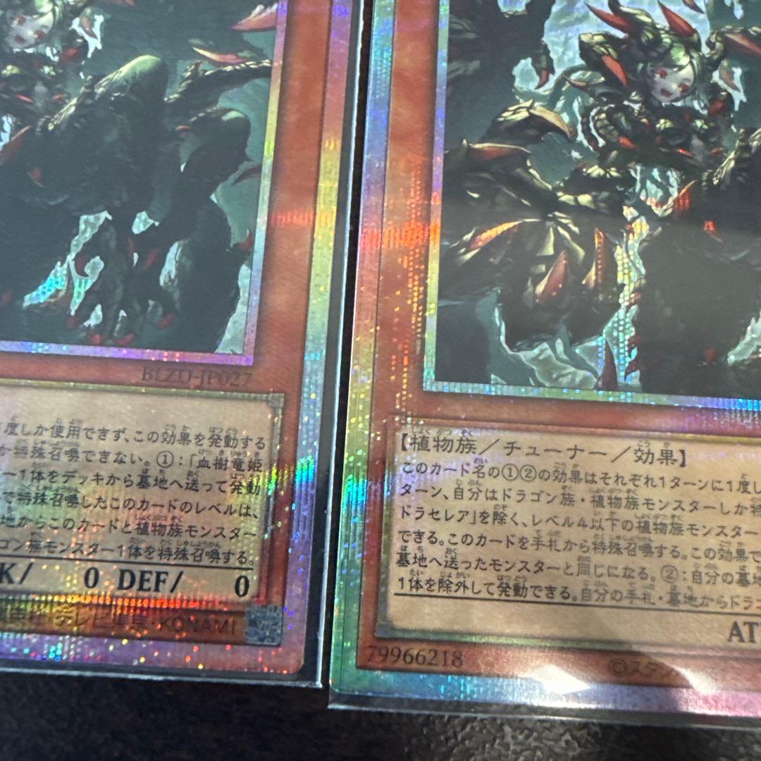 遊戯王 血樹竜姫ドラセレア プリズマ プリシク 2枚