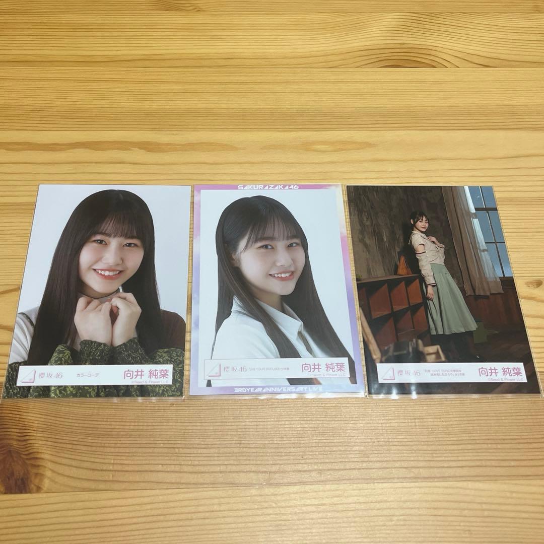 櫻坂46 向井純葉 生写真 まとめ売り - メルカリ