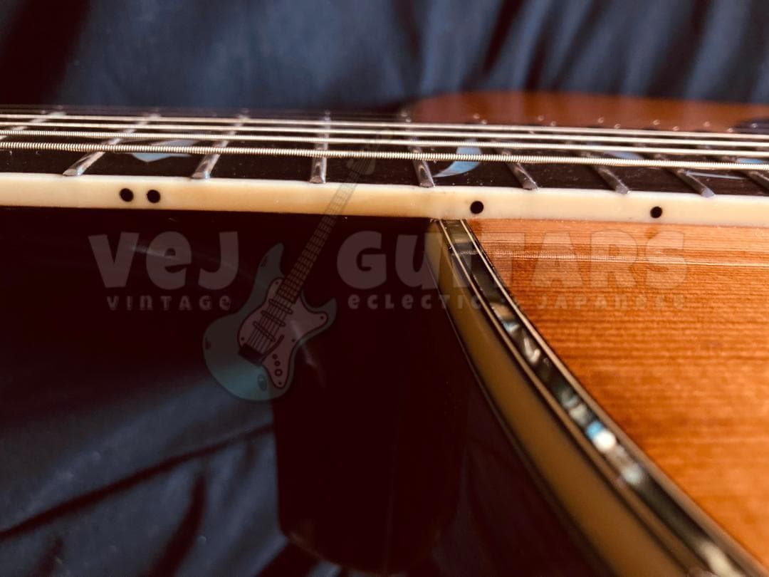 TREE of LIFE* JAGARD TERADA MT-400P 1974 - メルカリ