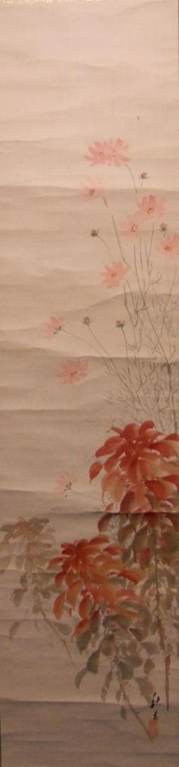掛け軸 秋香 コスモス 葉鶏頭 紙本 希少 軸装 茶道具 掛軸 です。