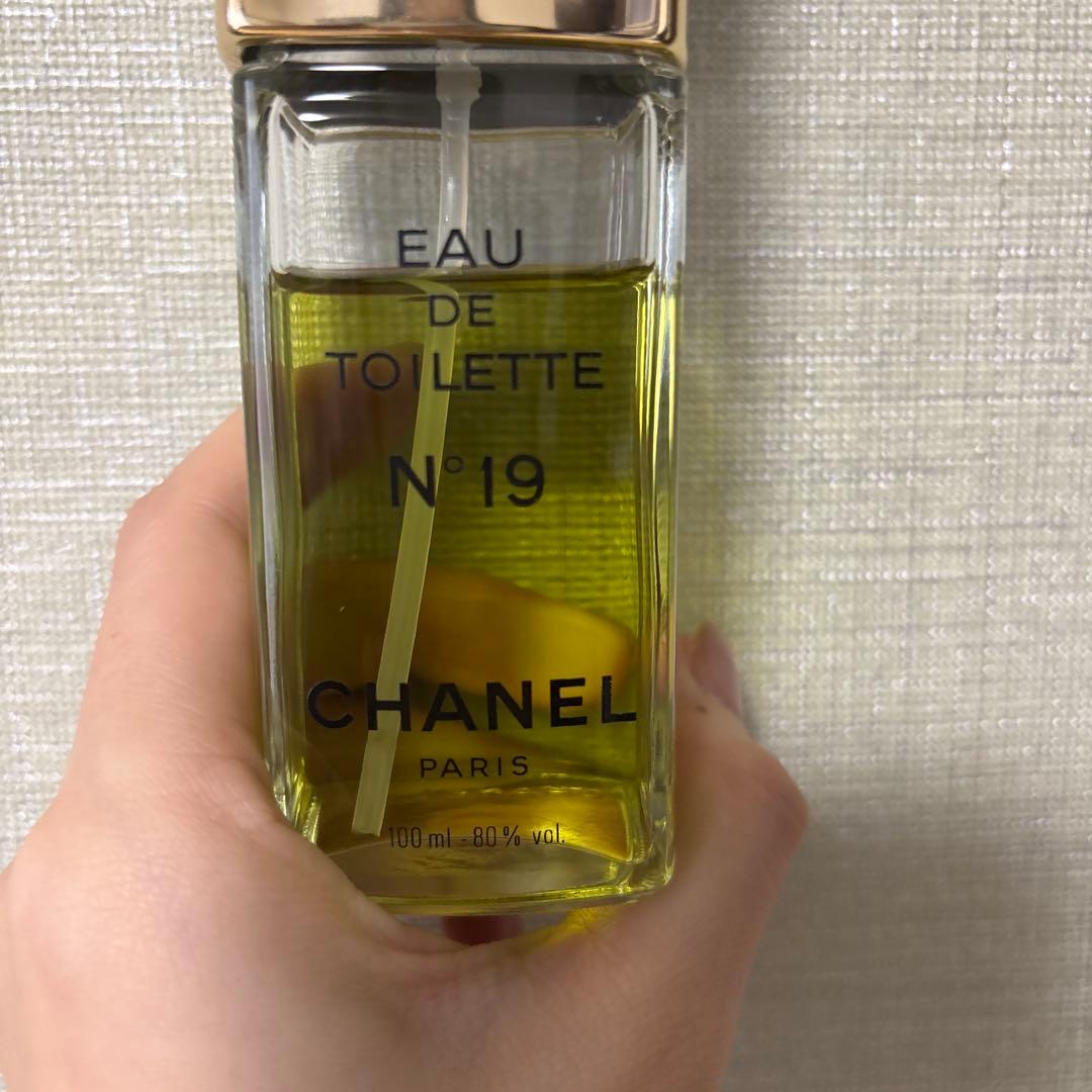 CHANEL Eau de Toilette N°19 100ml - メルカリ