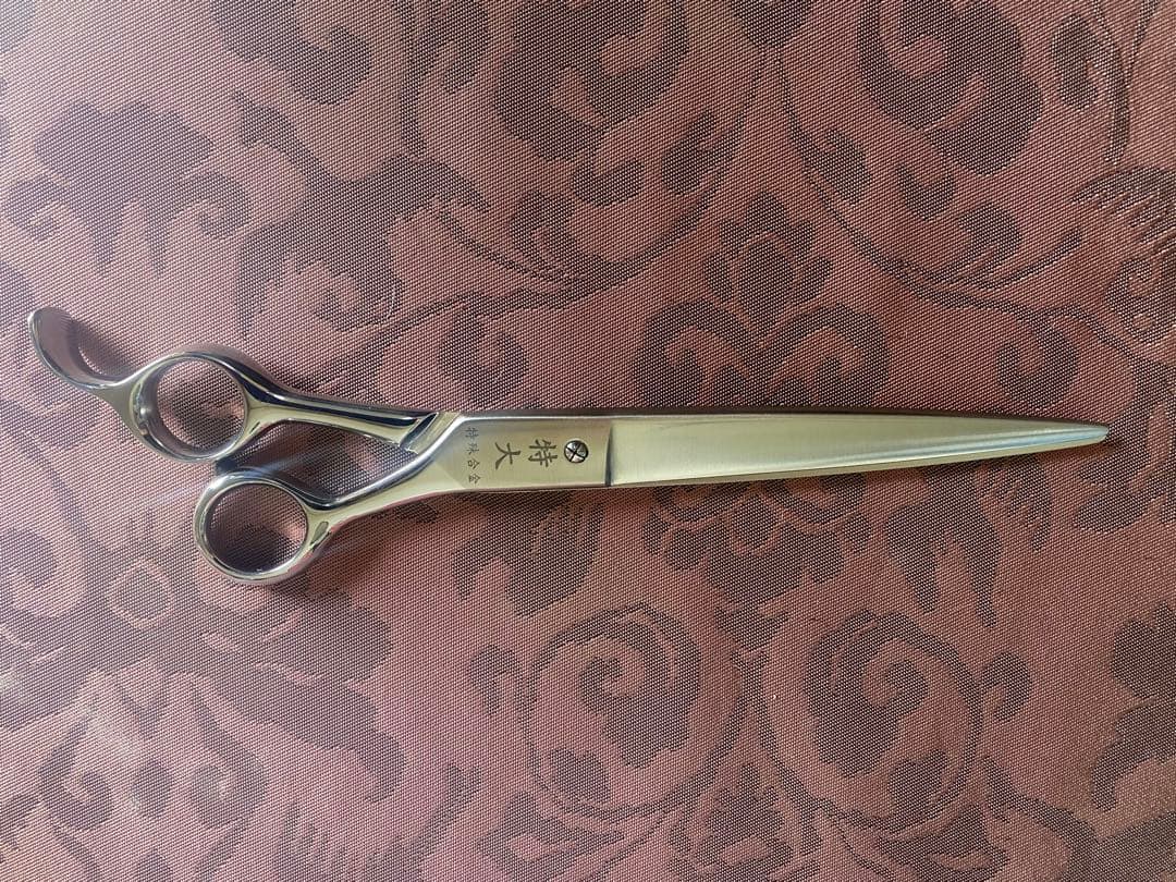 大洋　鋏　シザー　新品購入　試験のみ使用