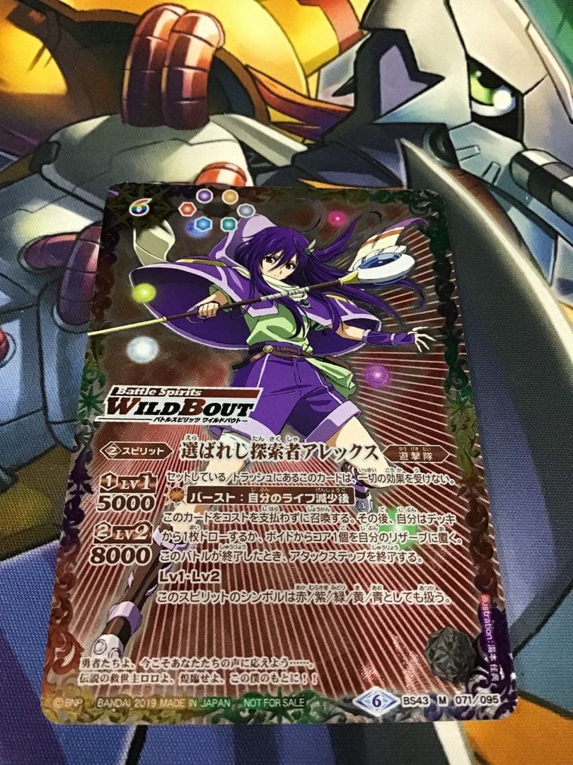 選ばれし探索者アレックス　WILDBOUT 銅