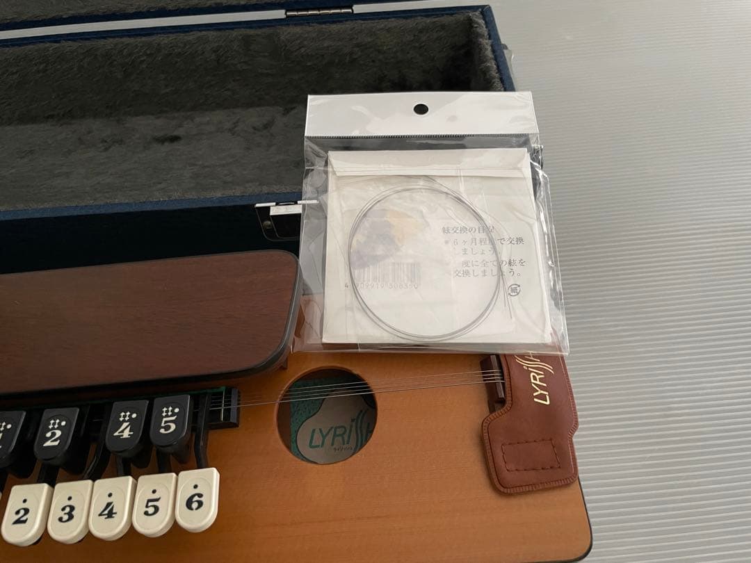 大正琴 LYRISH ライリッシュ あおい ハードケース付き - メルカリ