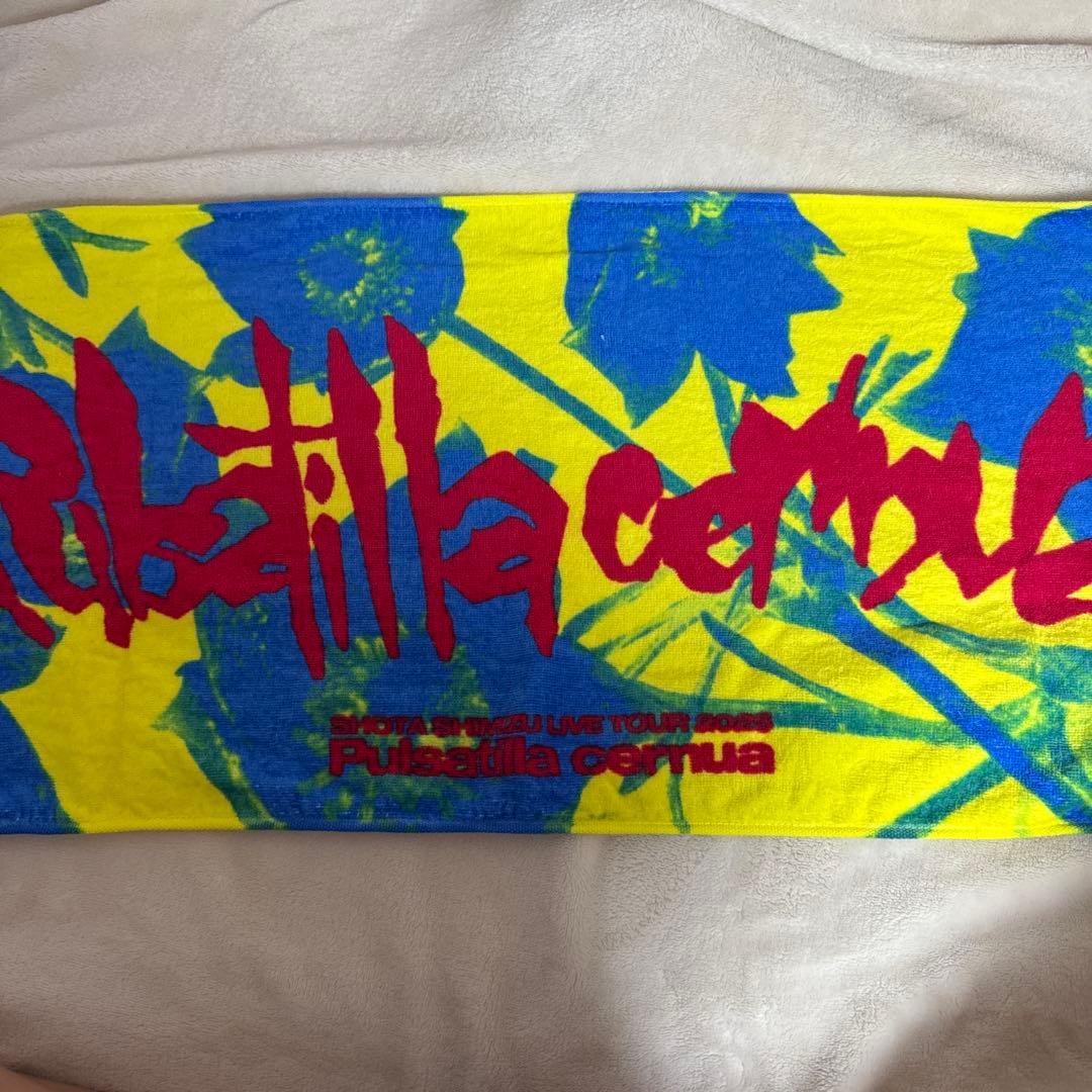 清水翔太 ライブツアー 2025 タオル - メルカリ