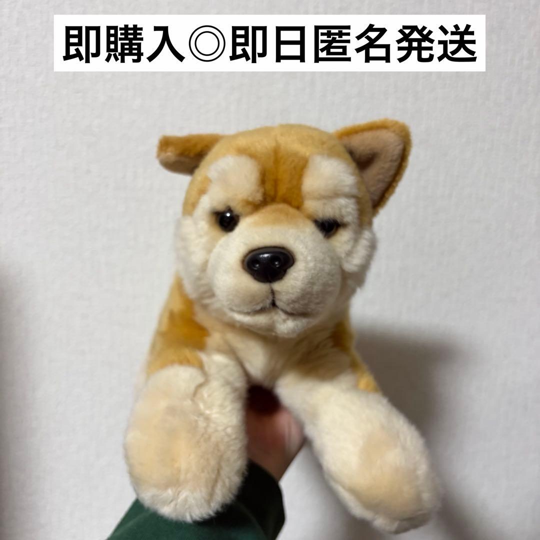 リアルドッグコレクション 柴犬 REGALO レガロ ぬいぐるみ