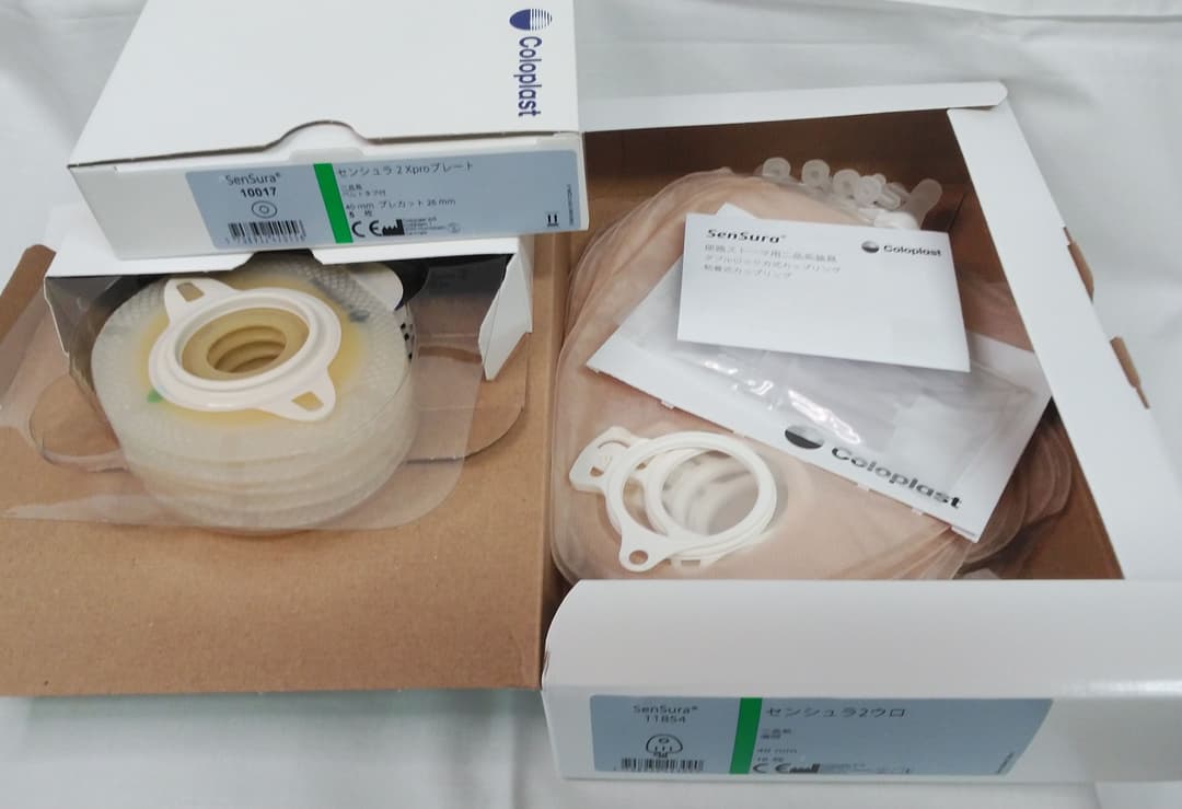 みかん　…①センシュラ２ウロ…１箱（10枚入）・プレート２箱（10枚）