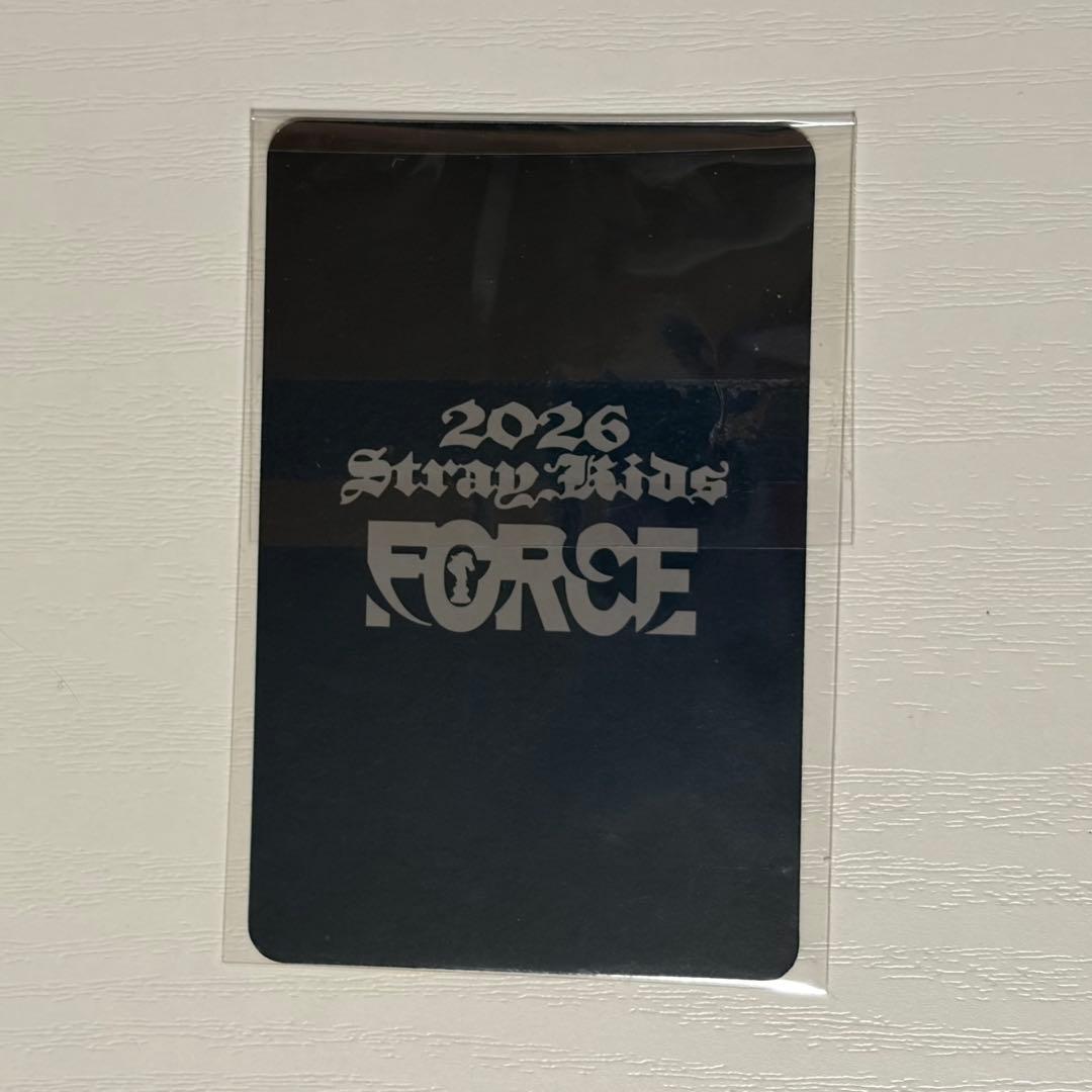 Straykids シーグリ トレカ ユニット デンニャン 2026 - メルカリ