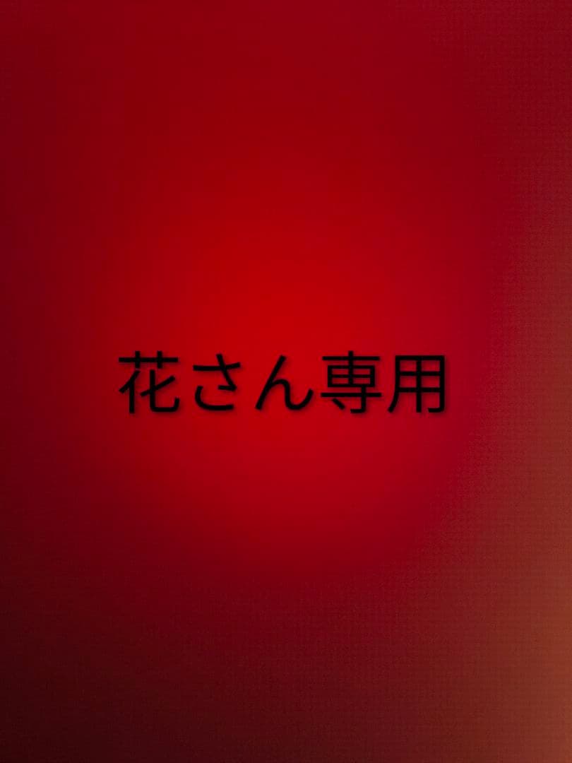 【花さん専用】hdr-cx670　ソニービデオカメラ HD