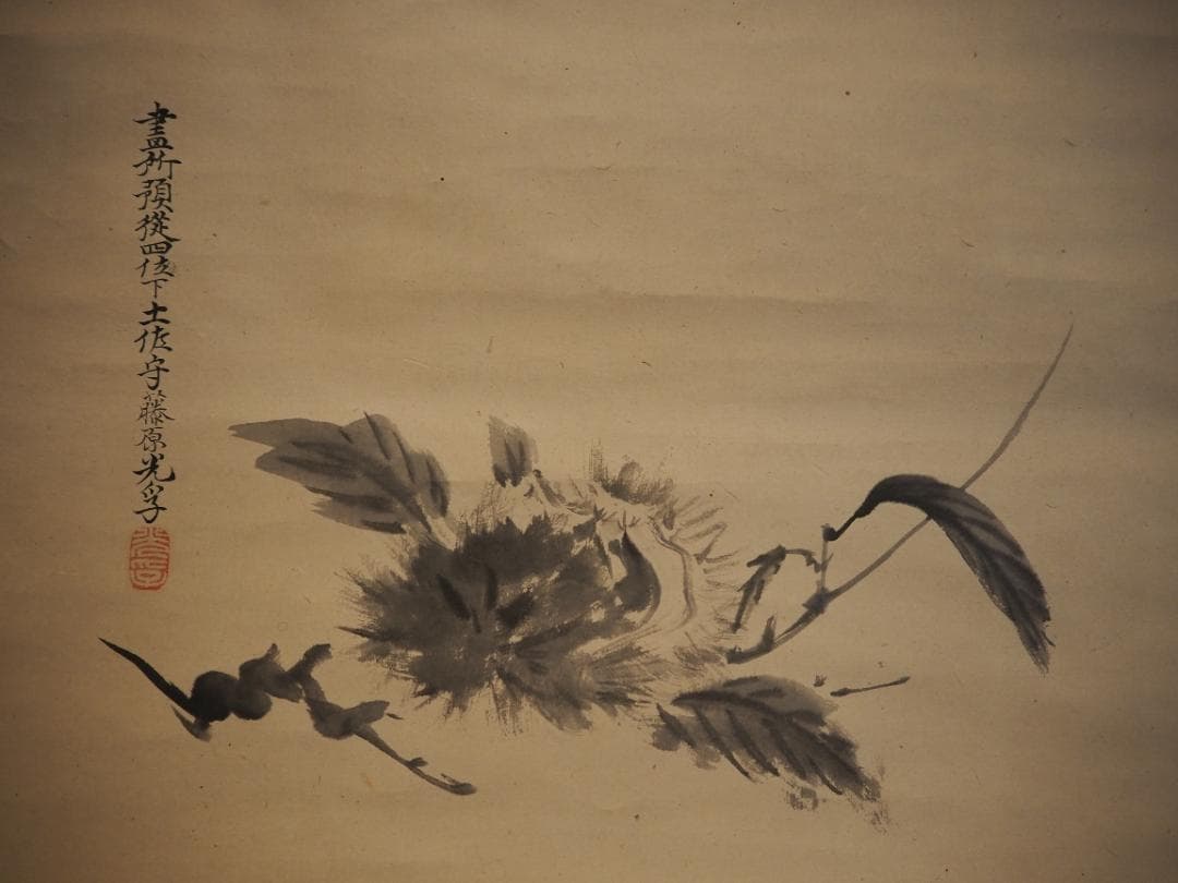 土佐光孚自筆『栗之図』（時代箱） - メルカリ