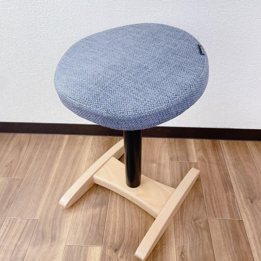 バランスラボ 旧サカモトハウス バランスシナジー ブルー ラウンドシート