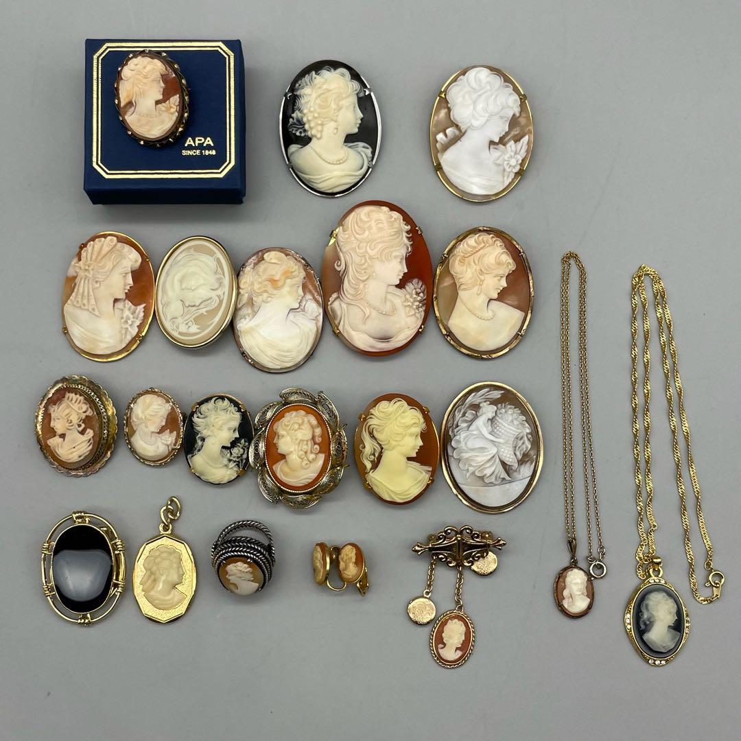 カメオ まとめ カメ大全 TURTLES OF THE WORLD