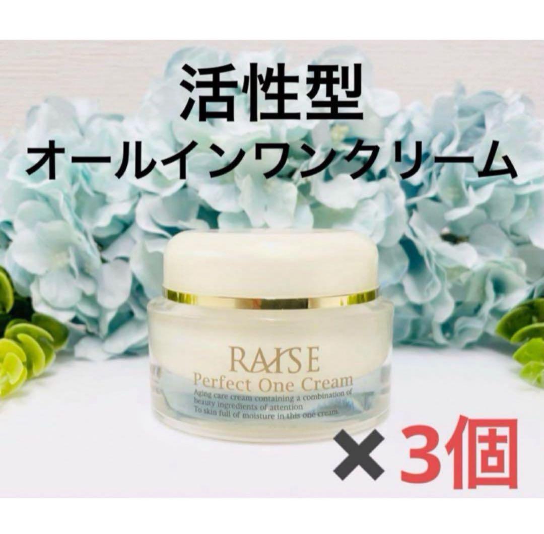 新品！RAISE パーフェクトワンクリーム 3個セット