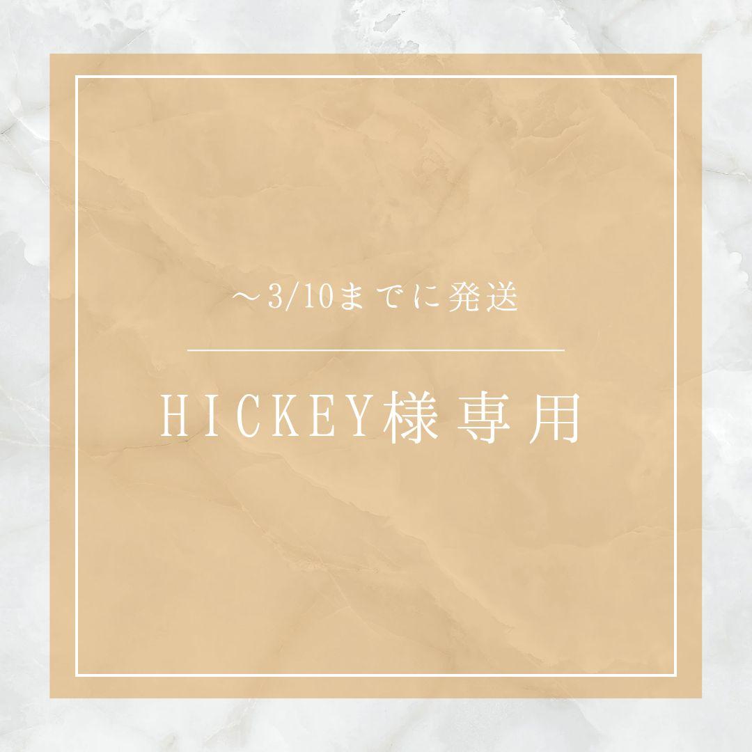 〜3/10 HICKEY hettich-sensys-hinges.jpeg