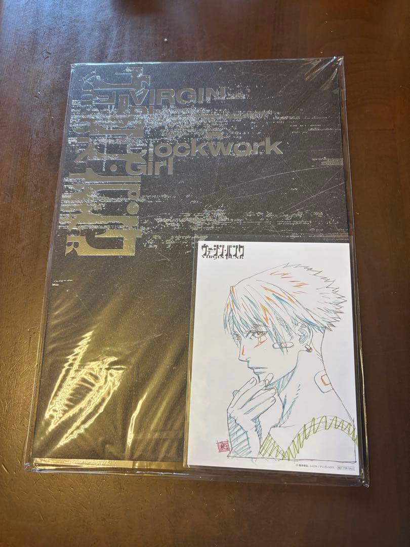 ヴァージンパンク　パンフレット　新品未開封　ポストカード付き