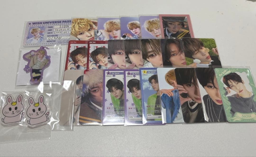 NCT WISH ウィシ シオン SION まとめ売り