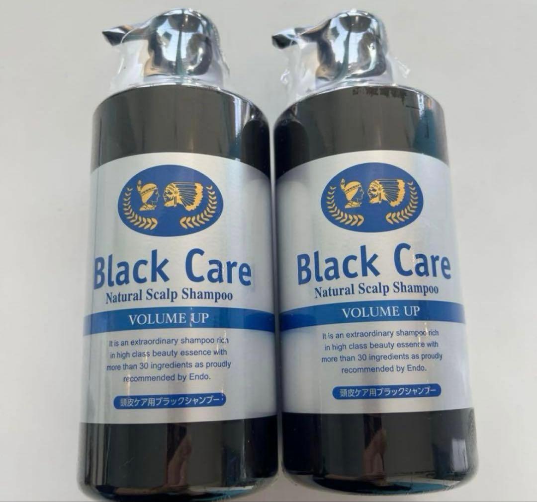 ナチュラルガーデン ブラックケアナチュラルスカルプシャンプー 600m2本セット