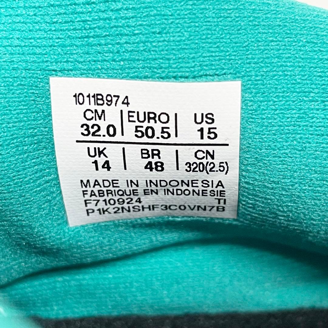 【未使用品】アシックス　NOVABLAST5 32.0cm ランニングシューズ