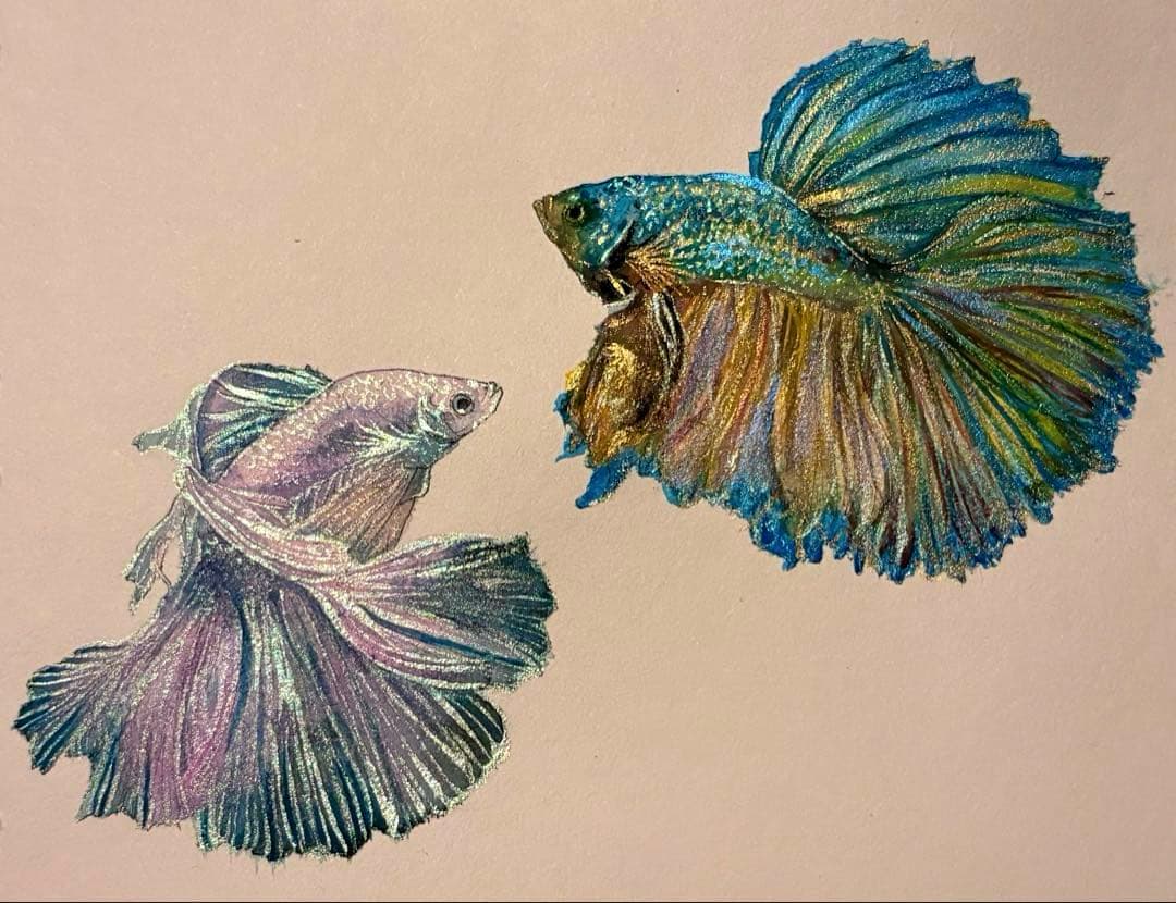 ベタ 水彩画 A5サイズ