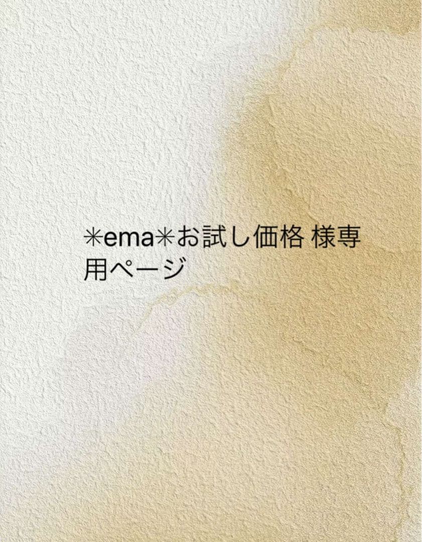 ✳︎ema✳︎お試し価格 ページ　25.5cm