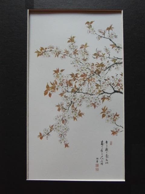 石田桂華、【桜花】、希少な額装用画集より、美品、新品額装付、インテリア